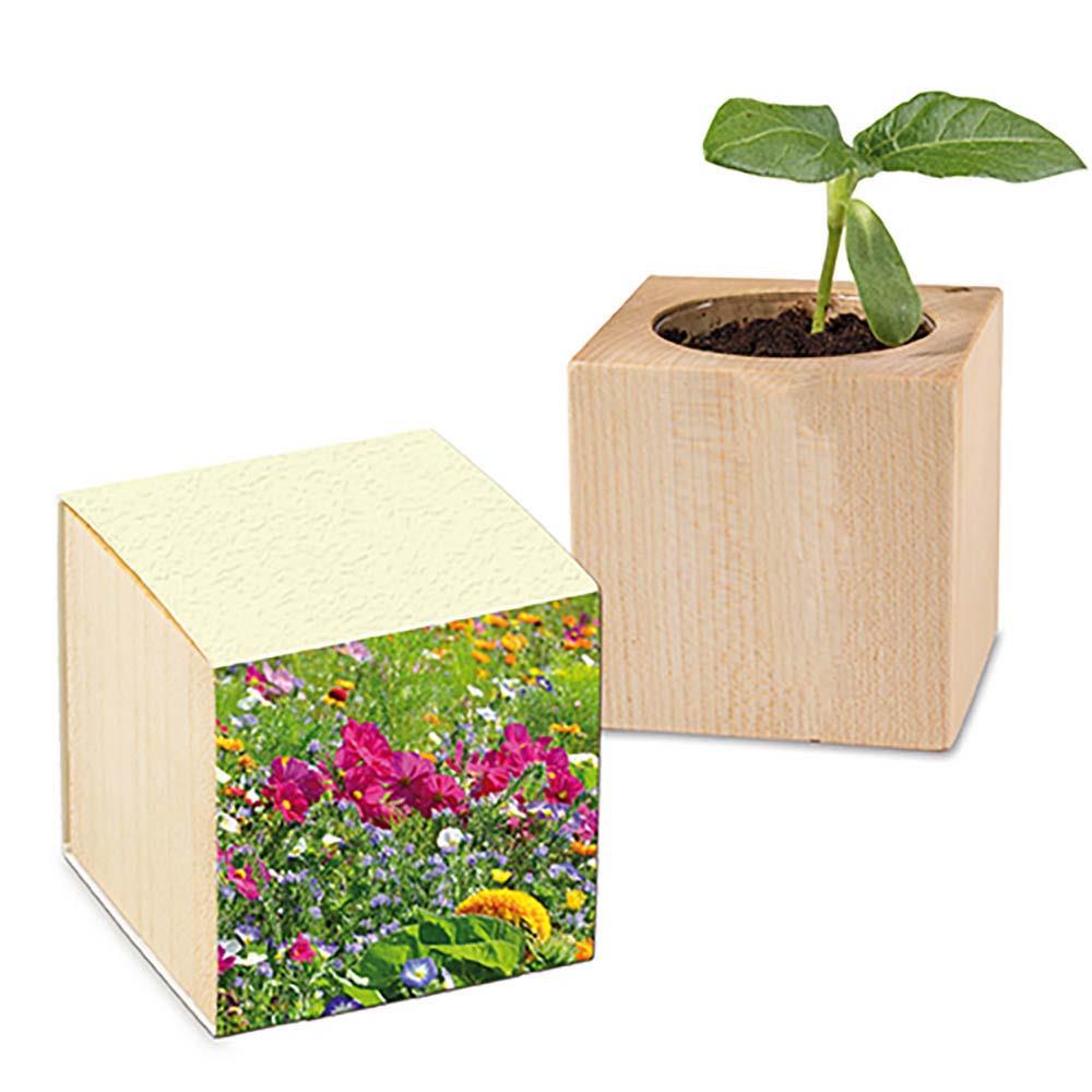 Pflanz-Holz Graspapier - Sommerblume