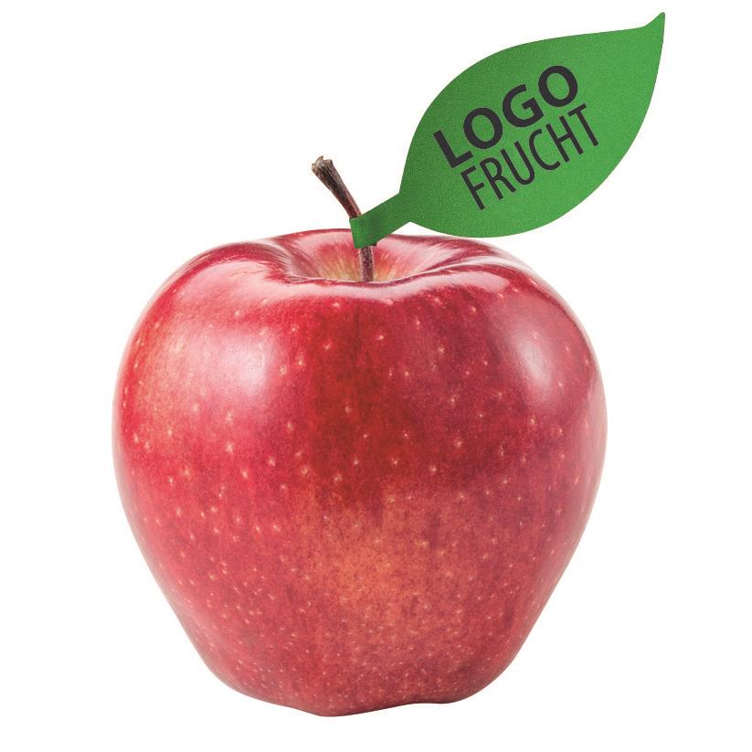 LogoFrucht Apfelblatt grün