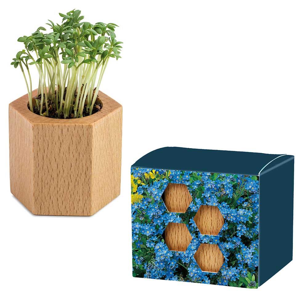 Pflanz-Holz Hexagon mit Samen - Ostern -